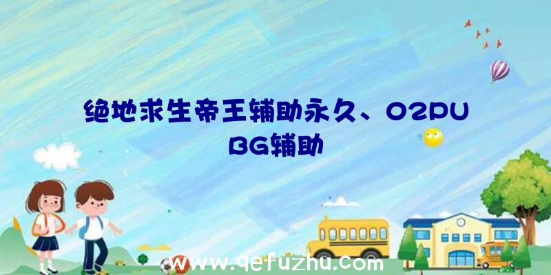 绝地求生帝王辅助永久、02PUBG辅助