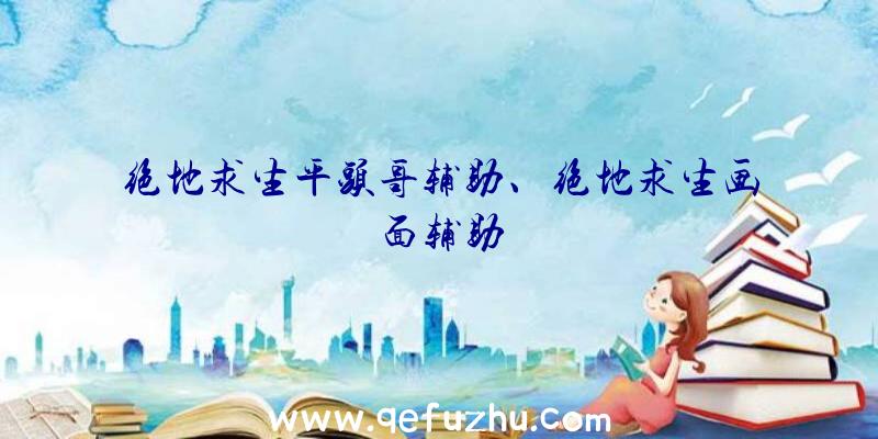 绝地求生平头哥辅助、绝地求生画面辅助