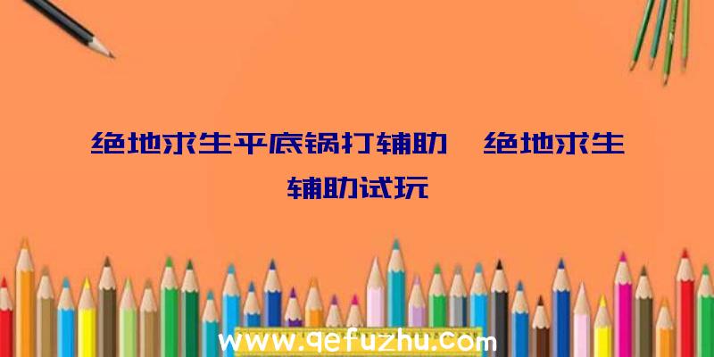 绝地求生平底锅打辅助、绝地求生辅助试玩