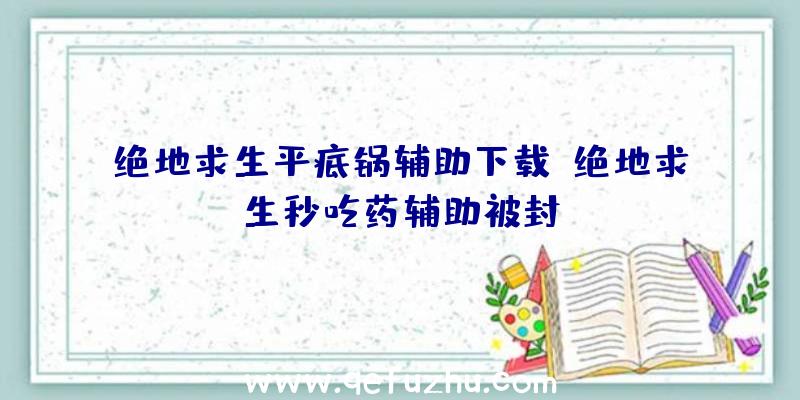 绝地求生平底锅辅助下载、绝地求生秒吃药辅助被封