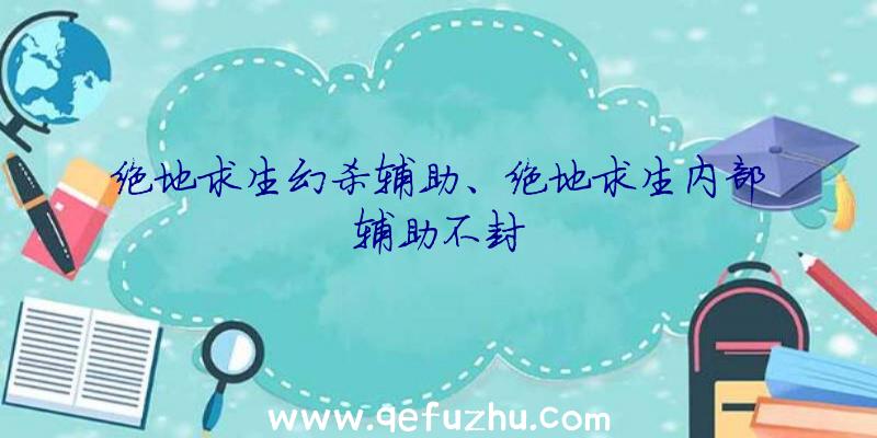 绝地求生幻杀辅助、绝地求生内部辅助不封