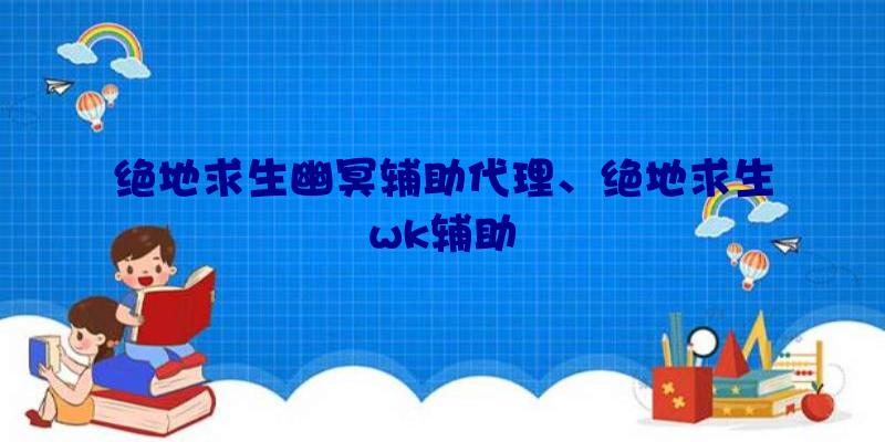 绝地求生幽冥辅助代理、绝地求生wk辅助