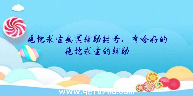 绝地求生幽冥辅助封号、有啥好的绝地求生的辅助