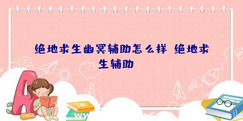 绝地求生幽冥辅助怎么样、绝地求生辅助dzm