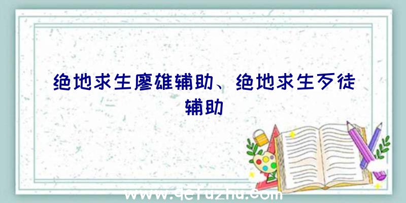 绝地求生廖雄辅助、绝地求生歹徒辅助