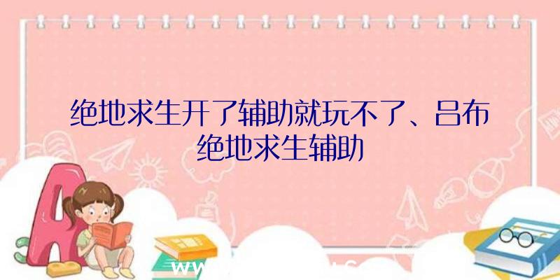 绝地求生开了辅助就玩不了、吕布绝地求生辅助