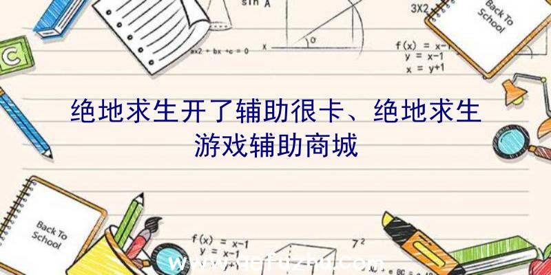 绝地求生开了辅助很卡、绝地求生游戏辅助商城