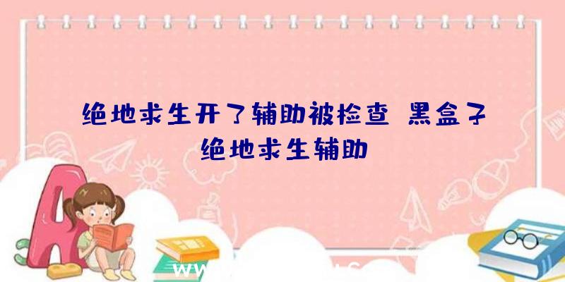 绝地求生开了辅助被检查、黑盒子绝地求生辅助