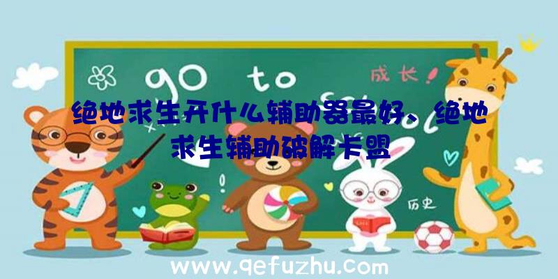 绝地求生开什么辅助器最好、绝地求生辅助破解卡盟