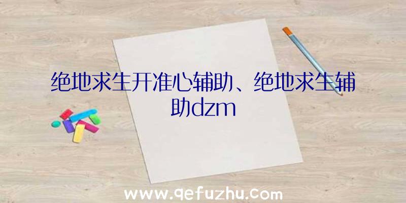 绝地求生开准心辅助、绝地求生辅助dzm