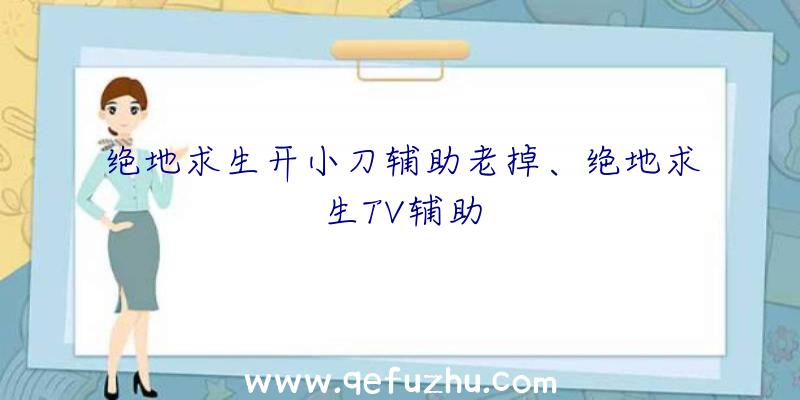 绝地求生开小刀辅助老掉、绝地求生TV辅助