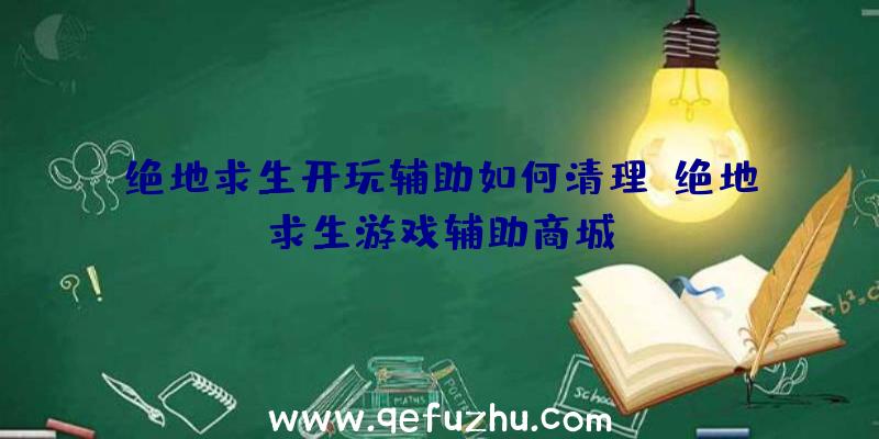 绝地求生开玩辅助如何清理、绝地求生游戏辅助商城