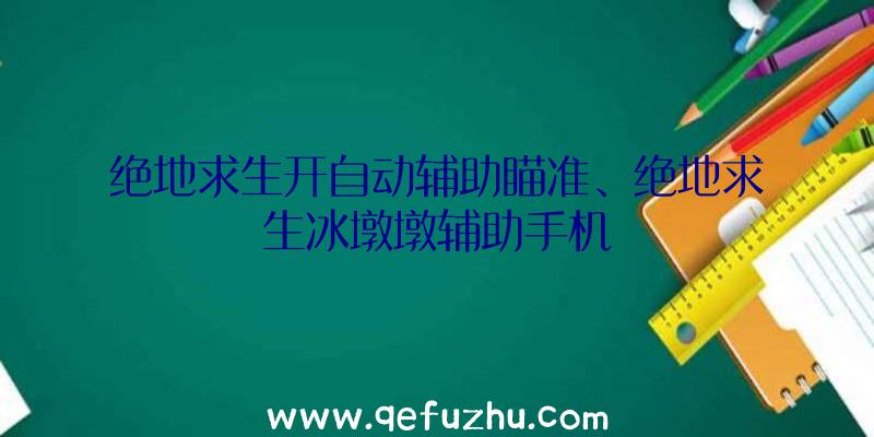 绝地求生开自动辅助瞄准、绝地求生冰墩墩辅助手机