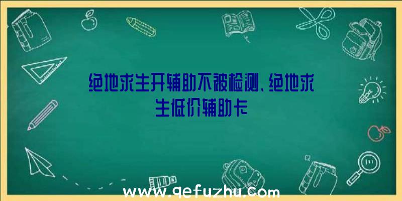 绝地求生开辅助不被检测、绝地求生低价辅助卡