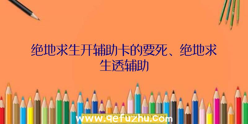 绝地求生开辅助卡的要死、绝地求生透辅助