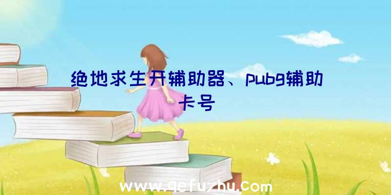 绝地求生开辅助器、pubg辅助卡号