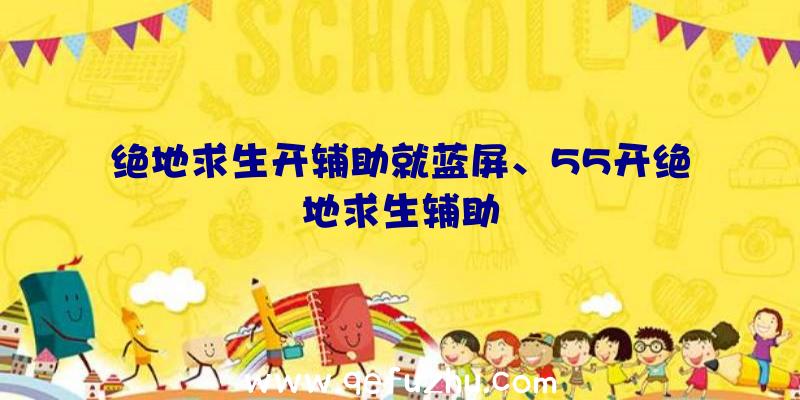 绝地求生开辅助就蓝屏、55开绝地求生辅助