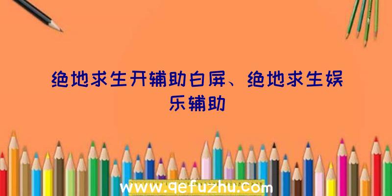 绝地求生开辅助白屏、绝地求生娱乐辅助