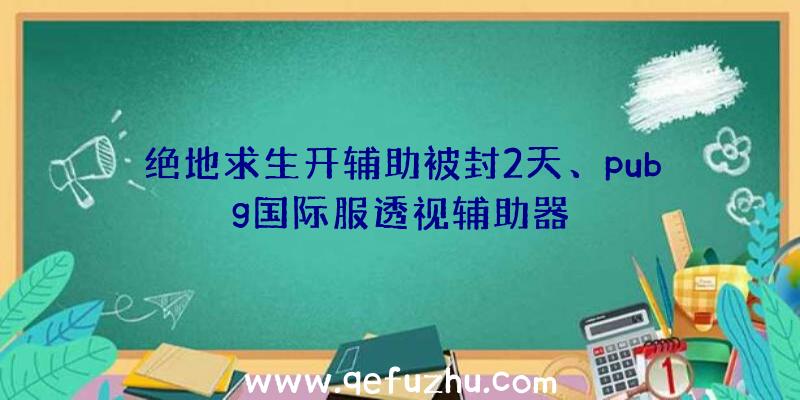 绝地求生开辅助被封2天、pubg国际服透视辅助器