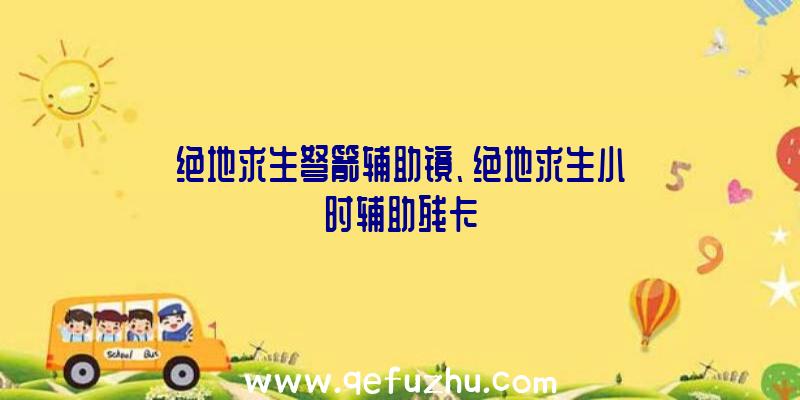 绝地求生弩箭辅助镜、绝地求生小时辅助残卡