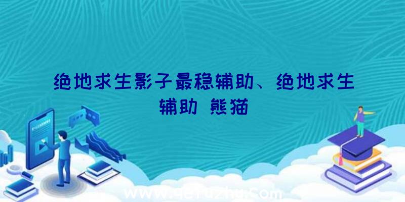 绝地求生影子最稳辅助、绝地求生辅助