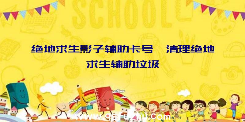 绝地求生影子辅助卡号、清理绝地求生辅助垃圾