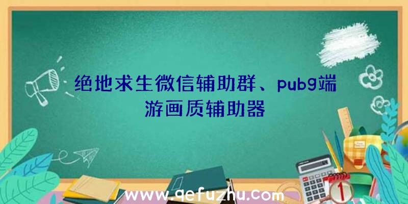 绝地求生微信辅助群、pubg端游画质辅助器