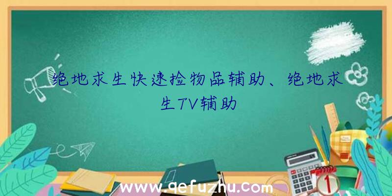 绝地求生快速捡物品辅助、绝地求生TV辅助