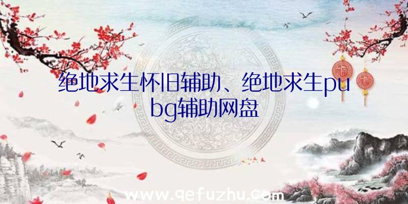 绝地求生怀旧辅助、绝地求生pubg辅助网盘