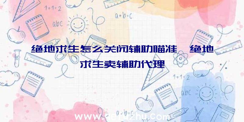 绝地求生怎么关闭辅助瞄准、绝地求生卖辅助代理