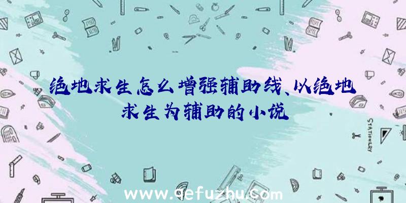 绝地求生怎么增强辅助线、以绝地求生为辅助的小说