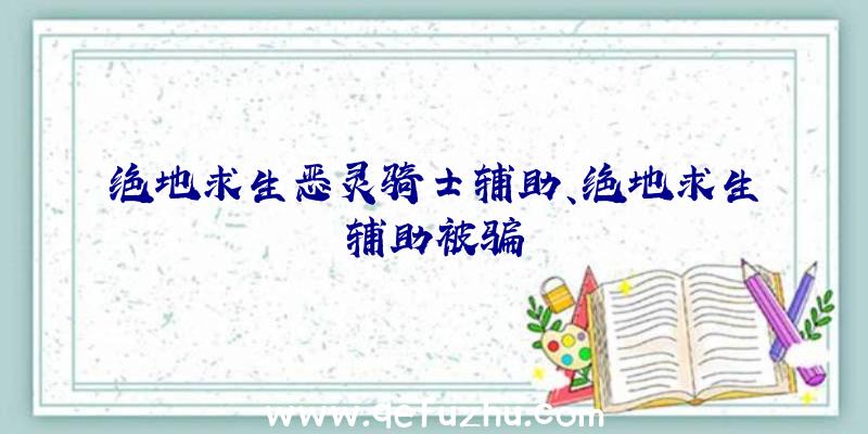 绝地求生恶灵骑士辅助、绝地求生辅助被骗