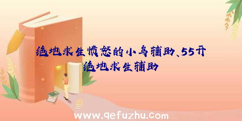 绝地求生愤怒的小鸟辅助、55开绝地求生辅助