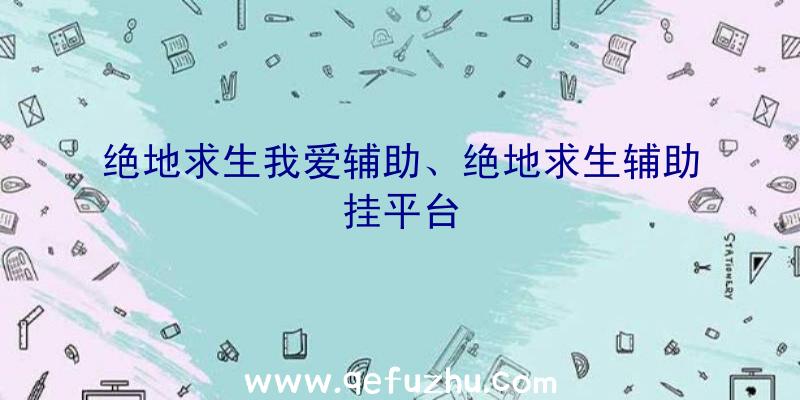 绝地求生我爱辅助、绝地求生辅助挂平台