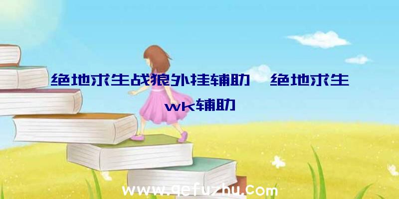 绝地求生战狼外挂辅助、绝地求生wk辅助