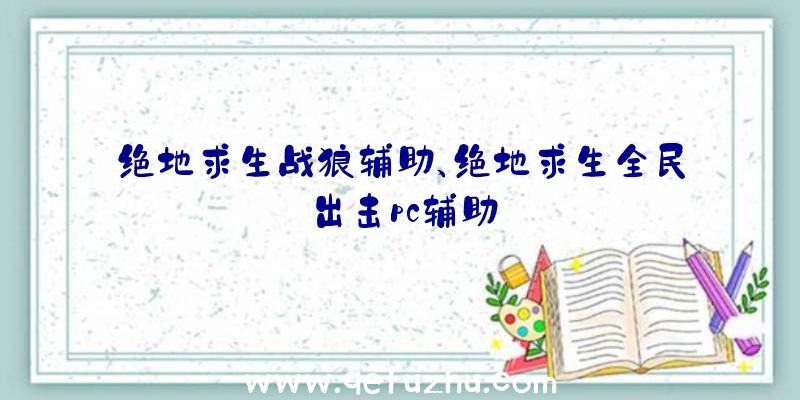 绝地求生战狼辅助、绝地求生全民出击pc辅助