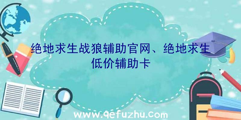 绝地求生战狼辅助官网、绝地求生低价辅助卡