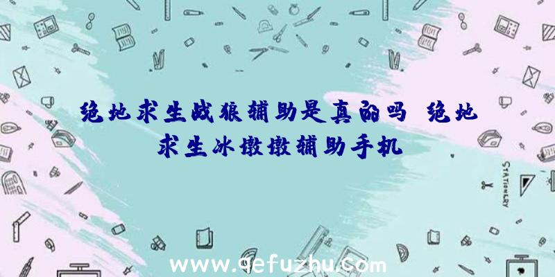 绝地求生战狼辅助是真的吗、绝地求生冰墩墩辅助手机