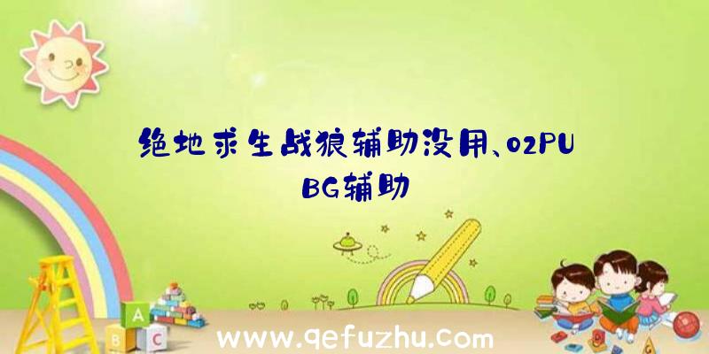 绝地求生战狼辅助没用、02PUBG辅助