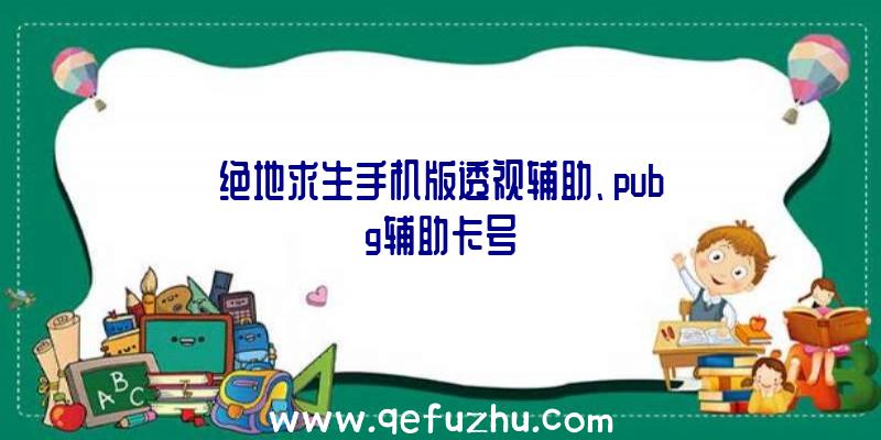 绝地求生手机版透视辅助、pubg辅助卡号