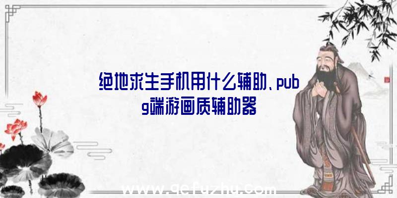 绝地求生手机用什么辅助、pubg端游画质辅助器