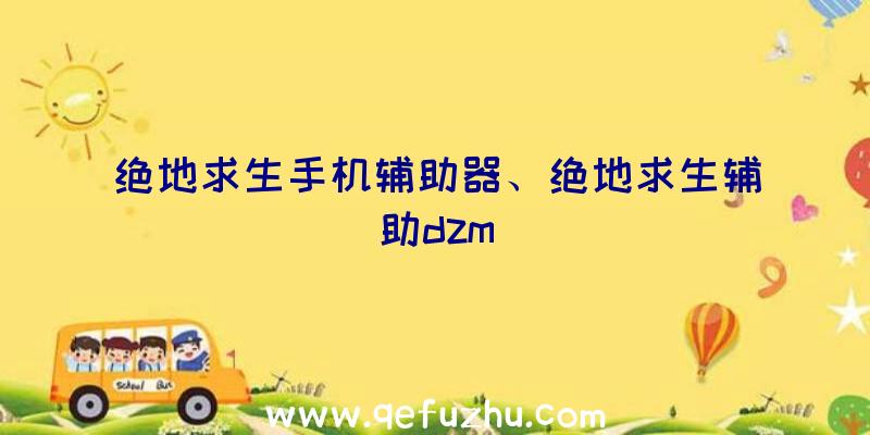 绝地求生手机辅助器、绝地求生辅助dzm