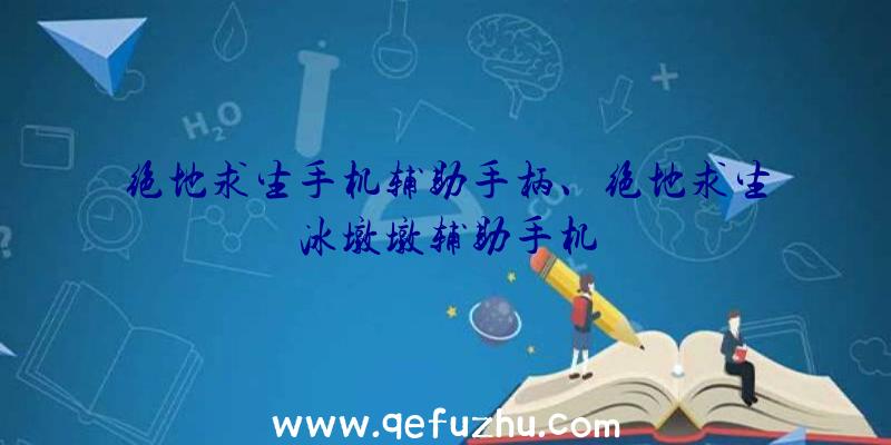 绝地求生手机辅助手柄、绝地求生冰墩墩辅助手机