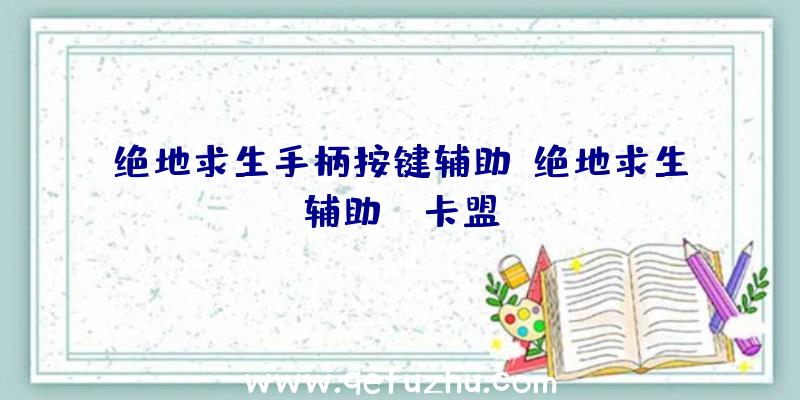 绝地求生手柄按键辅助、绝地求生辅助fz卡盟