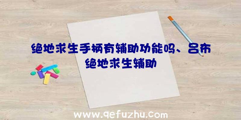 绝地求生手柄有辅助功能吗、吕布绝地求生辅助