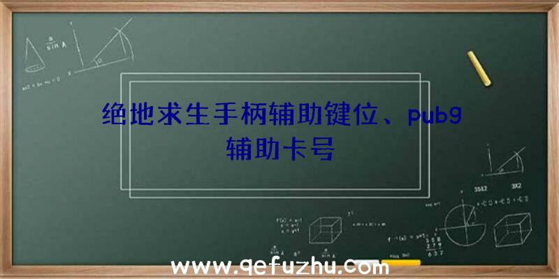 绝地求生手柄辅助键位、pubg辅助卡号