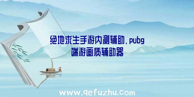 绝地求生手游内测辅助、pubg端游画质辅助器