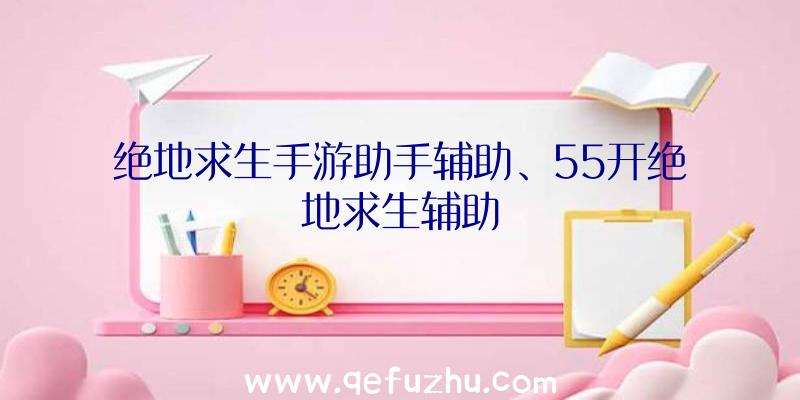 绝地求生手游助手辅助、55开绝地求生辅助