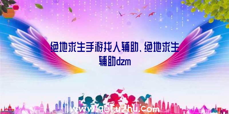 绝地求生手游找人辅助、绝地求生辅助dzm