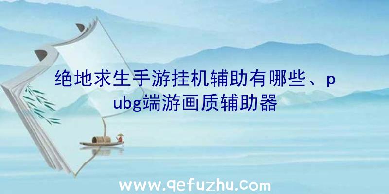 绝地求生手游挂机辅助有哪些、pubg端游画质辅助器